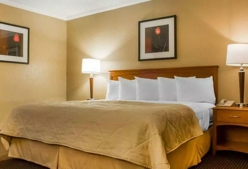 キングサイズベッドのスイートルーム, Clarion Hotel & Suites Riverfront