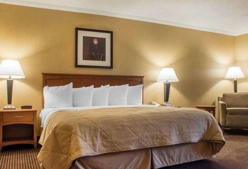 מיטת קינג בסוויטה, Clarion Hotel & Suites Riverfront