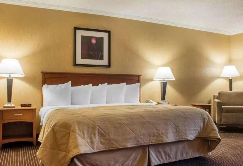 キングサイズベッドのスイートルーム, Clarion Hotel & Suites Riverfront