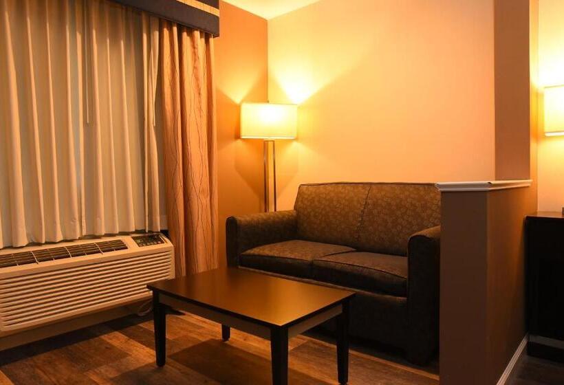 身障者適用キングサイズベッドルーム, Capital Inn & Suites