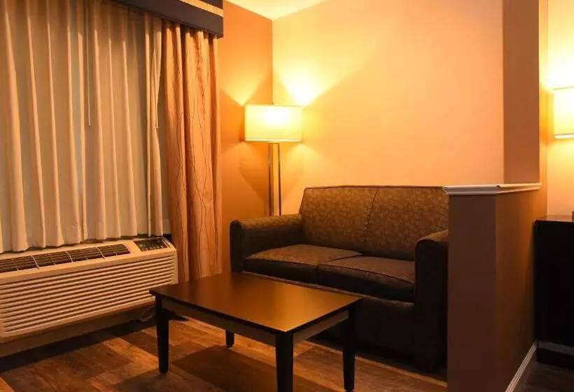 身障者適用キングサイズベッドルーム, Capital Inn & Suites