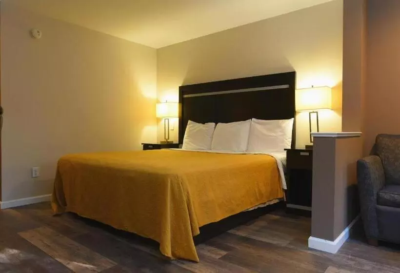 身障者適用キングサイズベッドルーム, Capital Inn & Suites