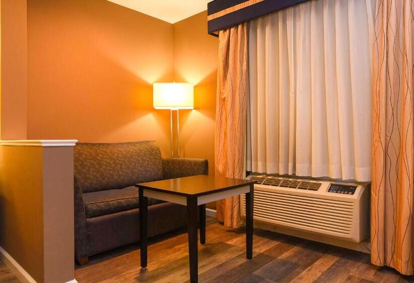 キングサイズベッドのスイートルーム, Capital Inn & Suites