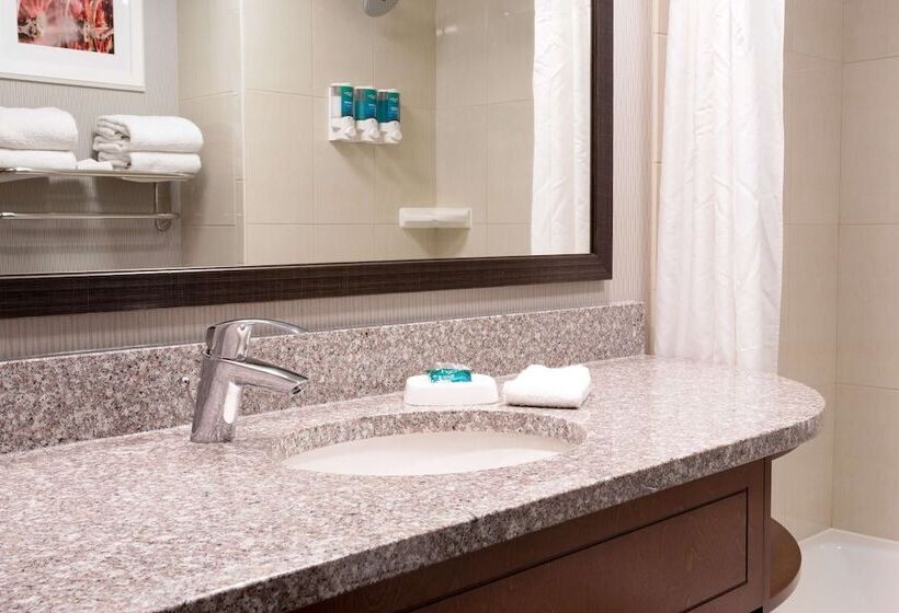 디럭스 룸, Drury Inn And Suites St Louis Union Station