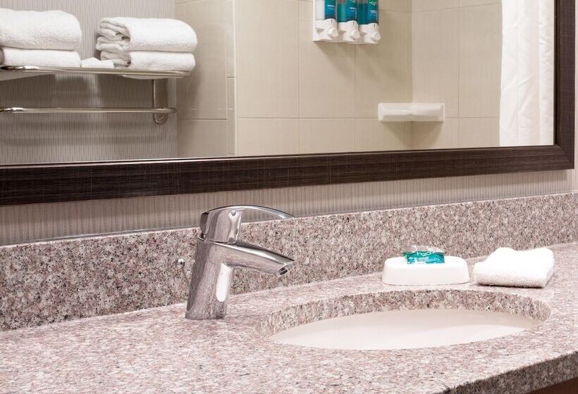 장애인용 디럭스룸, Drury Inn And Suites St Louis Union Station