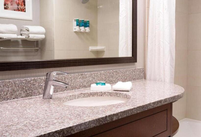 带大床的套房, Drury Inn And Suites St Louis Union Station
