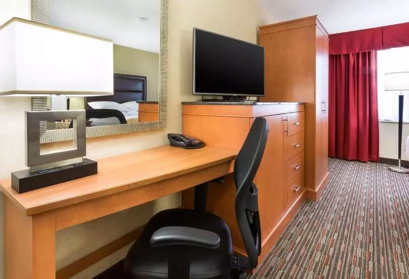 اتاق لوکس با تخت دو نفره بزرگ, Drury Inn And Suites St Louis Union Station