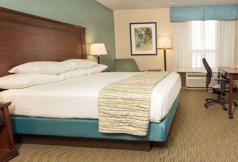 디럭스 룸, Troy Inn & Suites