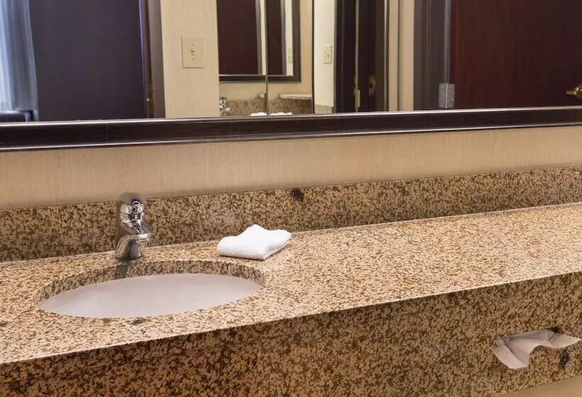 スイート, Troy Inn & Suites