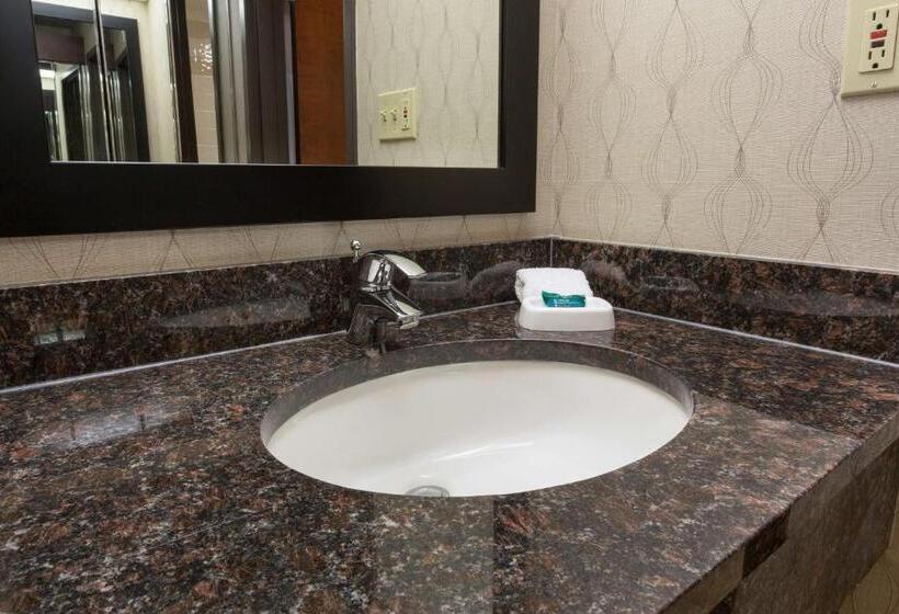 스탠다드 룸 킹사이즈 침대, Heritage Inn Suites Houston Sugar Land, Trademark By Wyndham