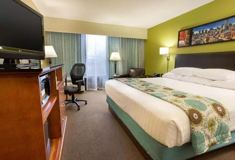 キングサイズベッドのデラックスルーム, Heritage Inn Suites Houston Sugar Land, Trademark By Wyndham