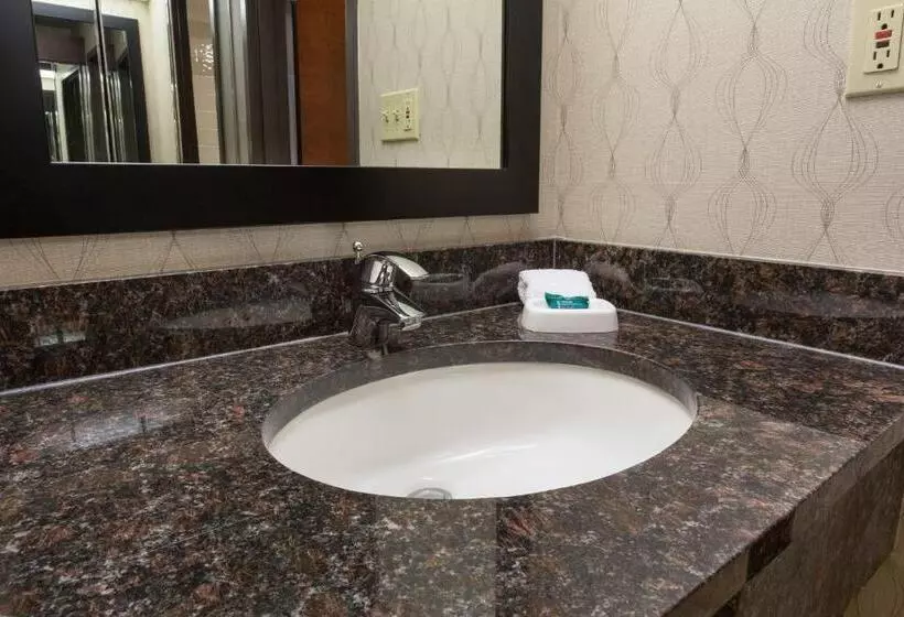 身障者適用スーペリアールーム, Heritage Inn Suites Houston Sugar Land, Trademark By Wyndham