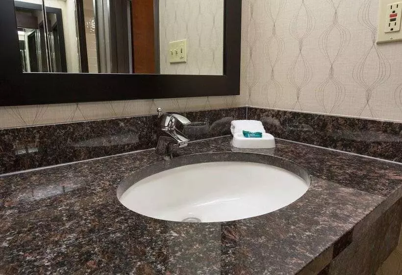 デラックスルーム, Heritage Inn Suites Houston Sugar Land, Trademark By Wyndham
