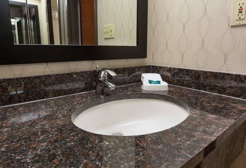Номер Deluxe Адаптированный для Инвалидов, Heritage Inn Suites Houston Sugar Land, Trademark By Wyndham