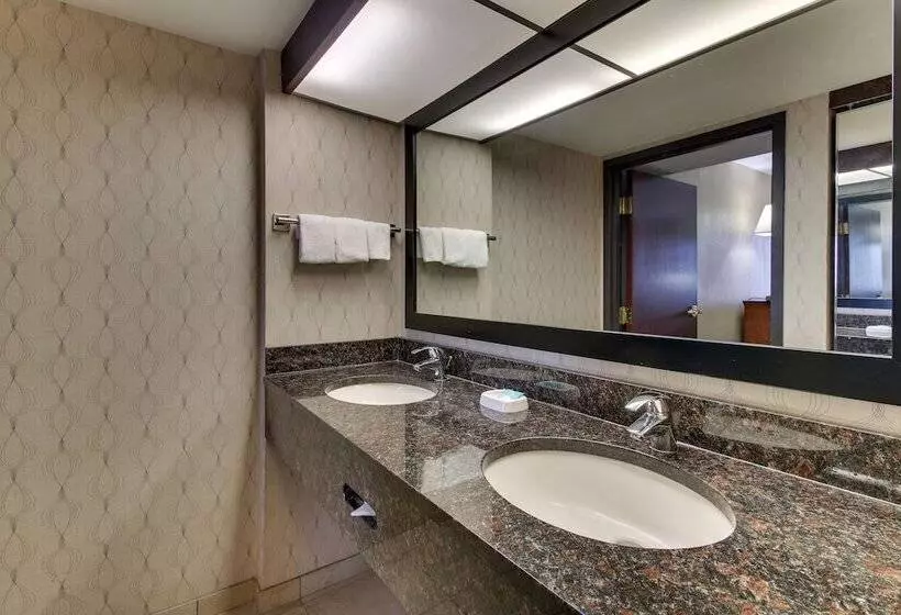 障害者適応デラックスルーム, Heritage Inn Suites Houston Sugar Land, Trademark By Wyndham