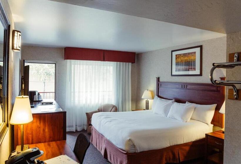 带大床的标准间, The Durango Lodge