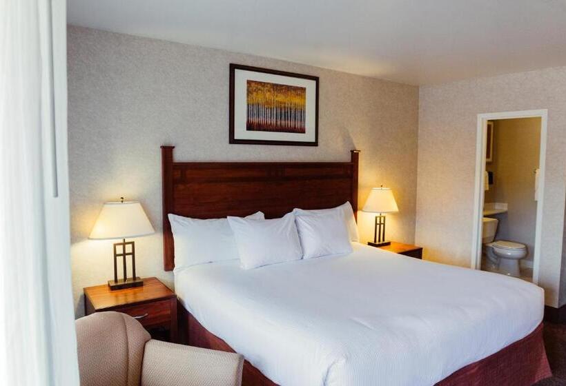 带大床的标准间, The Durango Lodge