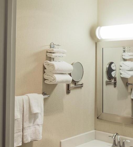 带大床的标准间, The Durango Lodge