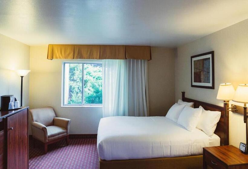 标准间, The Durango Lodge