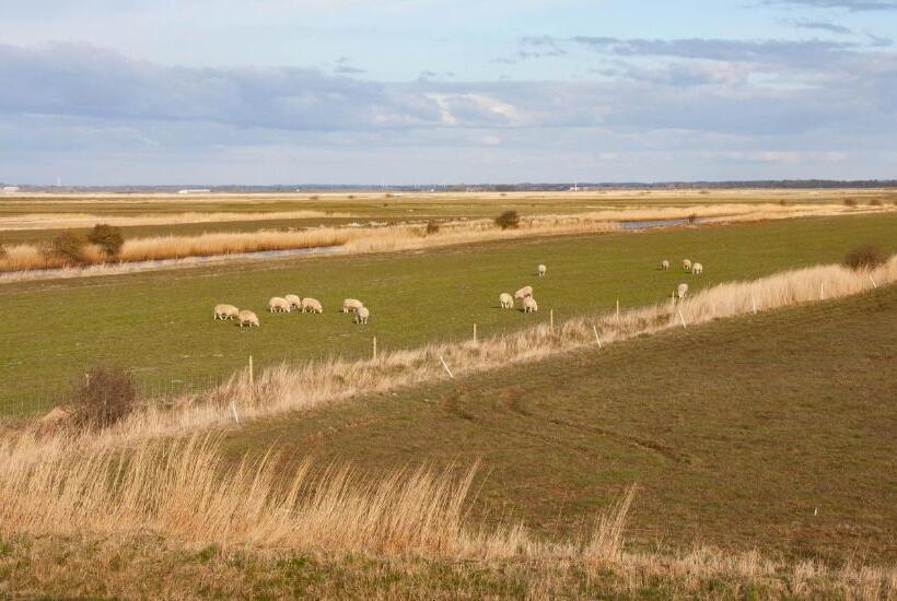 标准单人间, Ballum Slusekro