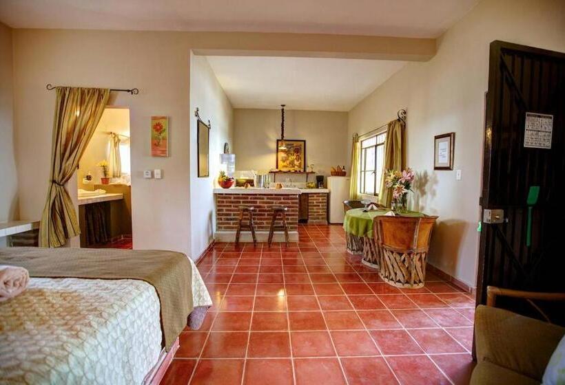 استودیوی استاندارد, La Quinta Del Sol