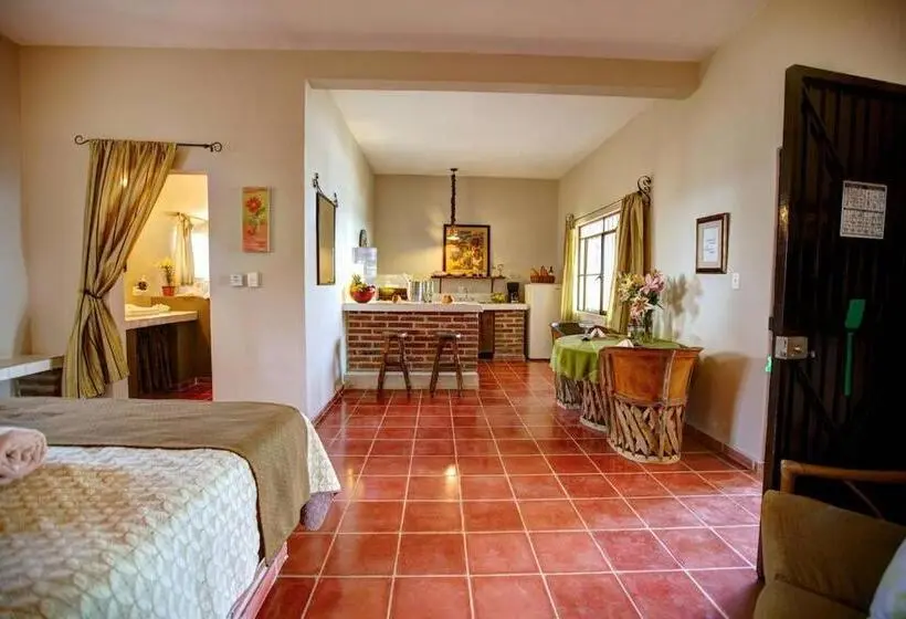 استودیوی استاندارد, La Quinta Del Sol