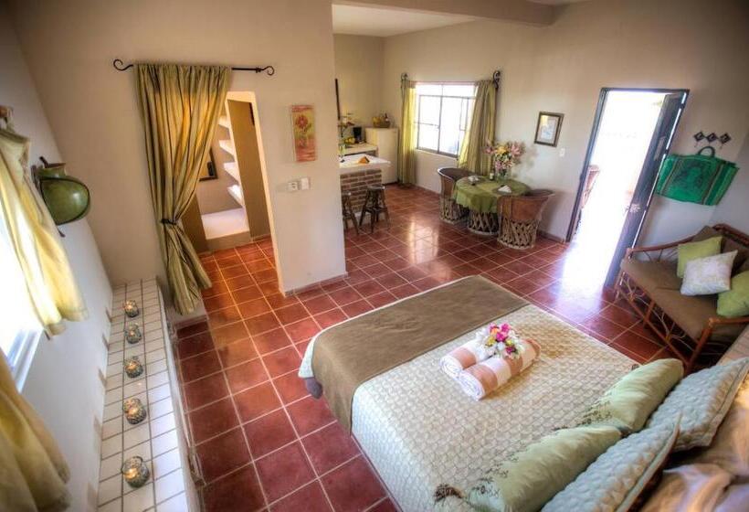 استودیوی استاندارد, La Quinta Del Sol