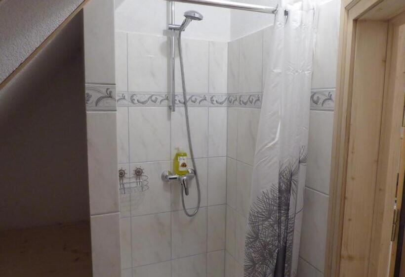 شقة غرفة واحدة, Pension Zur Rose