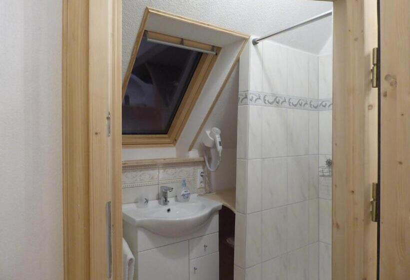 شقة غرفة واحدة, Pension Zur Rose