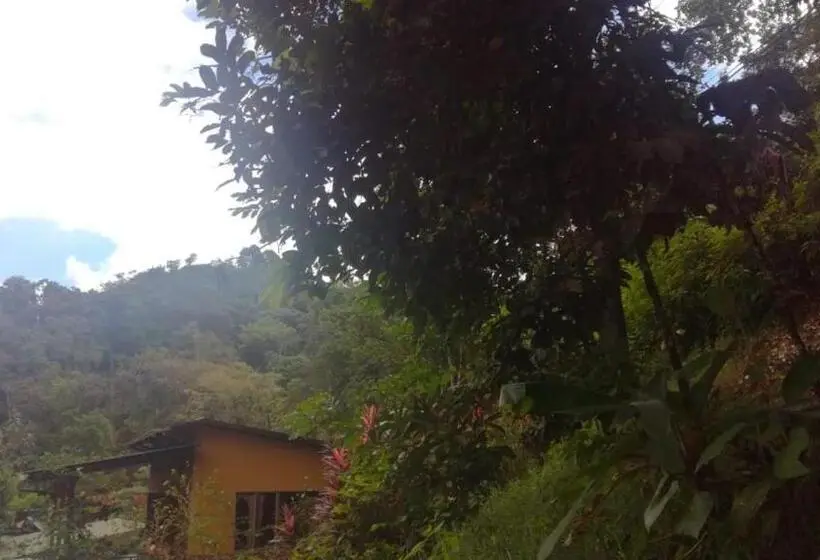 اتاق لوکس با بالکن, Corcovado & Drake Inn