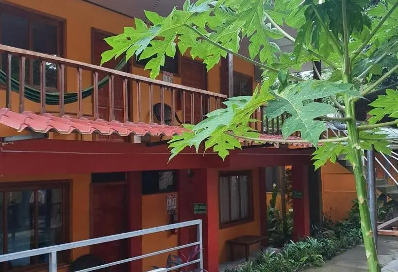 اتاق لوکس سه تخته, Corcovado & Drake Inn