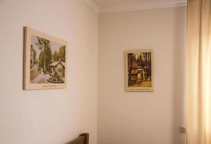 استودیو استاندارد با بالکن, Villa Zhanna Central Park