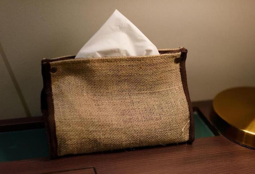 Номер Дюплекс, Sojourn Guest House