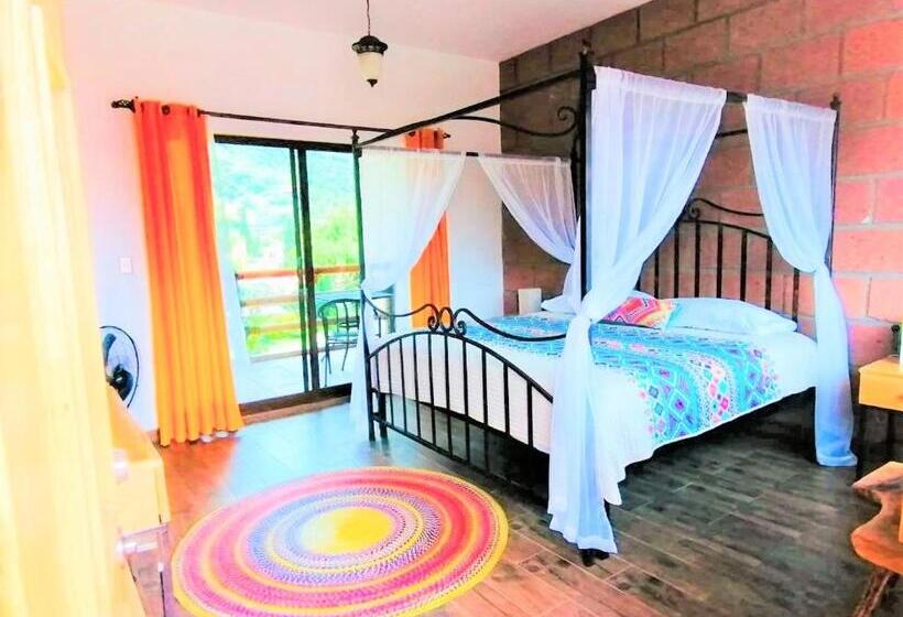 غرفة قياسية سرير كينج, Boutique Jardín De Flores