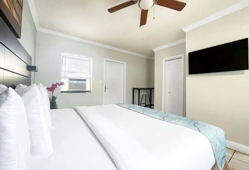 Студия Стандарт, The Palms