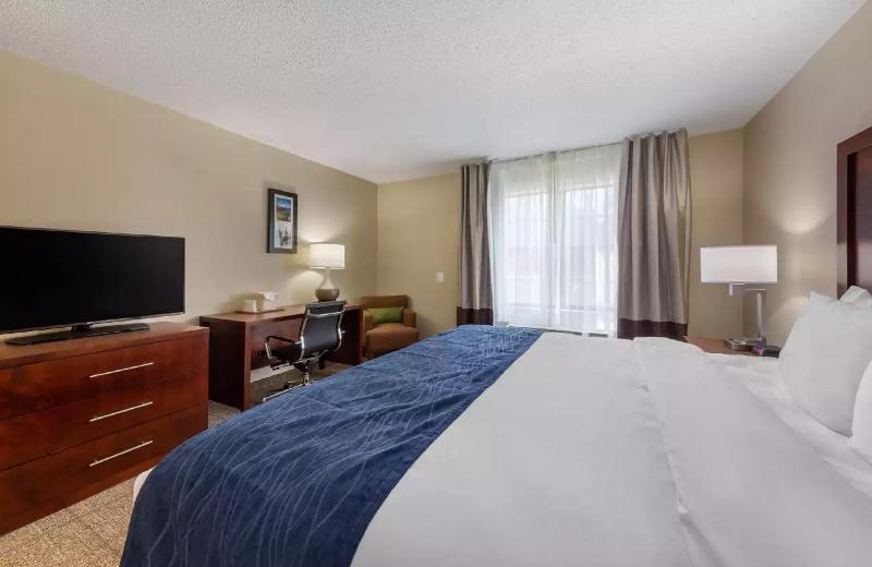 חדר סטנדרט, Comfort Inn Danvers   Boston North Shore
