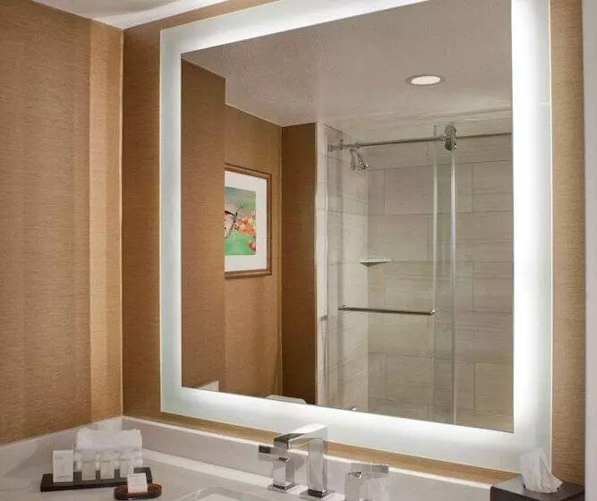 2ベッドスイートルーム, Embassy Suites By Hilton Dallas Near The Galleria