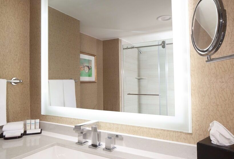 סוויטת פרמיום, Embassy Suites By Hilton Dallas Near The Galleria