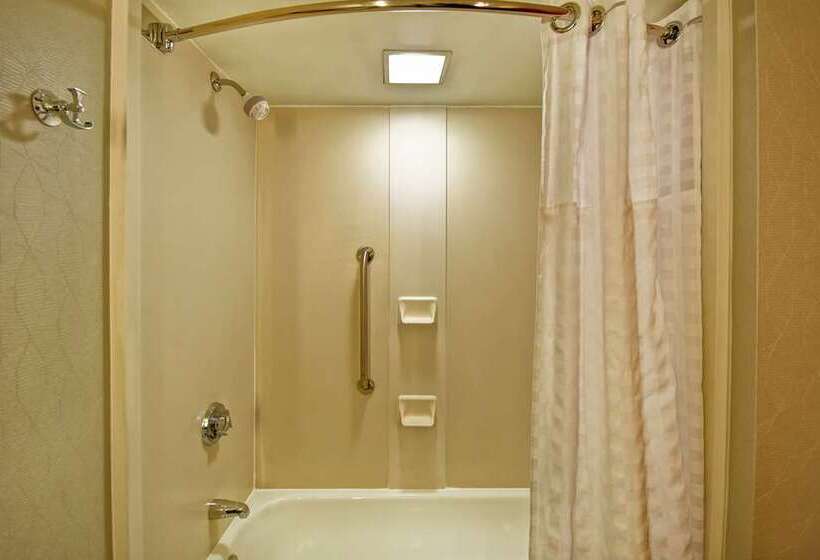 סוויטת פרמיום, Embassy Suites By Hilton Dallas Near The Galleria