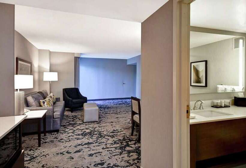 סוויטת פרמיום, Embassy Suites By Hilton Dallas Near The Galleria