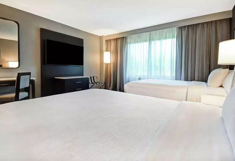 プレミアムスイート, Embassy Suites By Hilton Dallas Near The Galleria