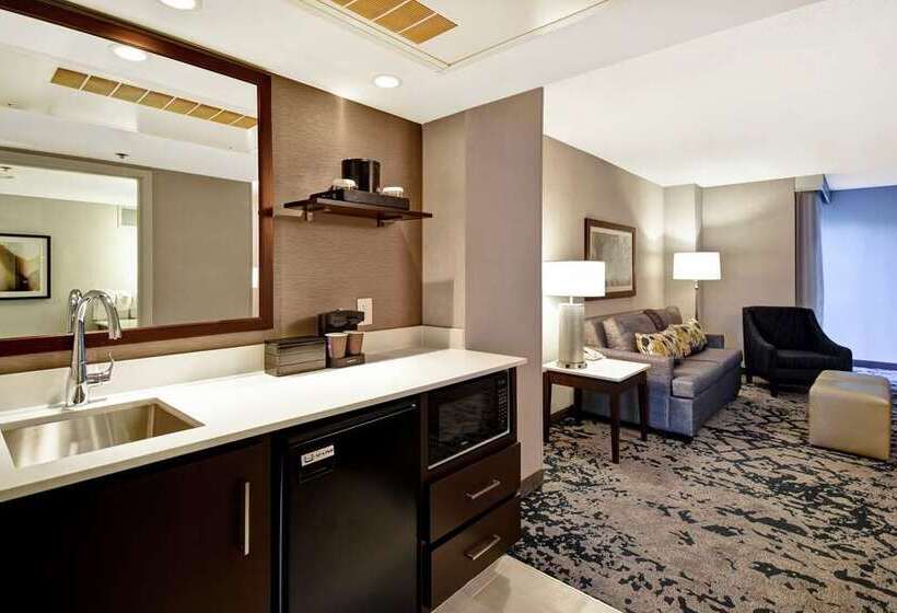 סוויטת פרמיום, Embassy Suites By Hilton Dallas Near The Galleria