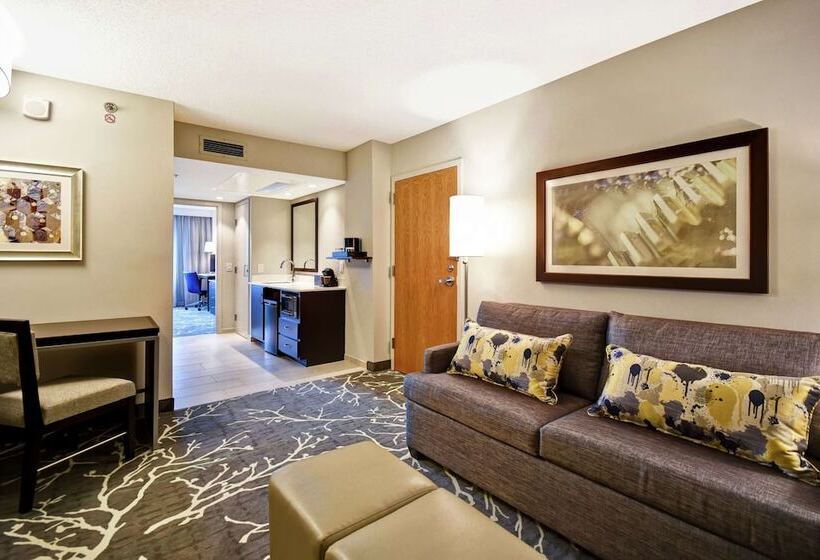Люкс Адаптированный для Инвалидов, Embassy Suites By Hilton Raleigh Durham Research Triangle