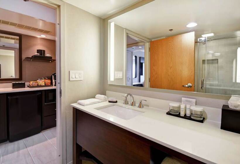 プレミアムスイート, Embassy Suites By Hilton Raleigh Durham Research Triangle