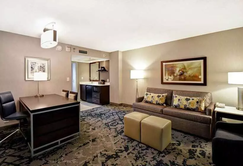 スタンダードルーム, Embassy Suites By Hilton Raleigh Durham Research Triangle