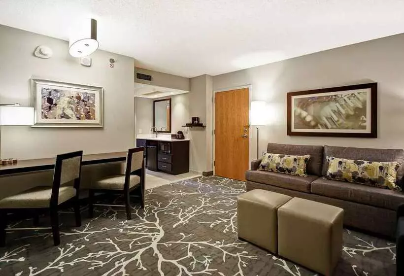スタンダードルーム, Embassy Suites By Hilton Raleigh Durham Research Triangle