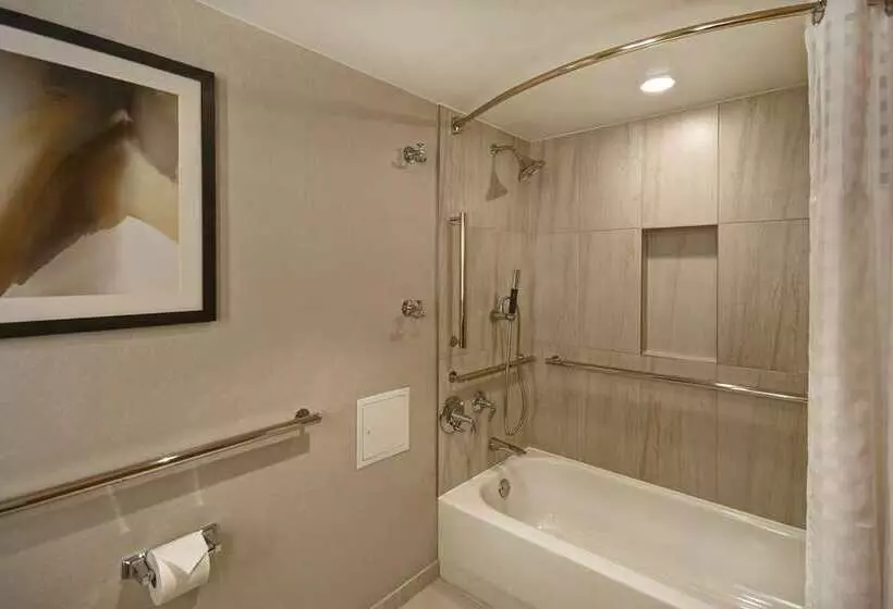 スタンダードルーム, Embassy Suites By Hilton Raleigh Durham Research Triangle