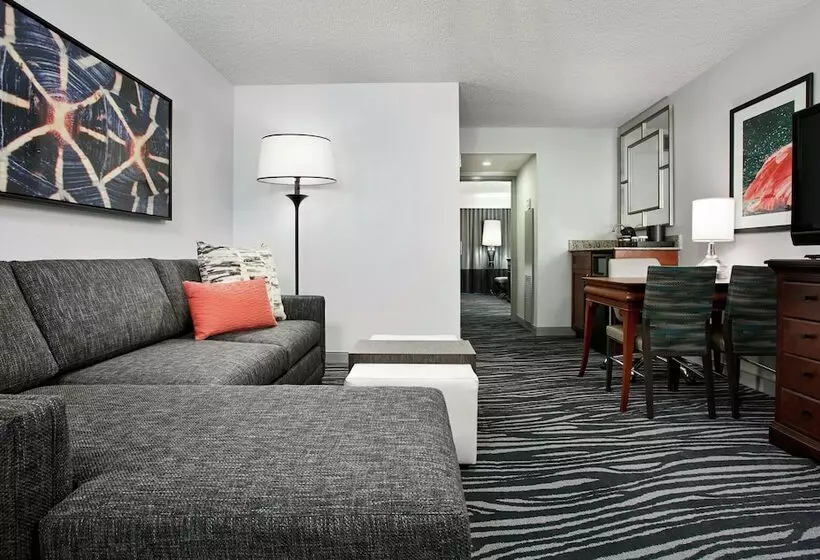 スイート, Embassy Suites By Hilton Orlando Airport