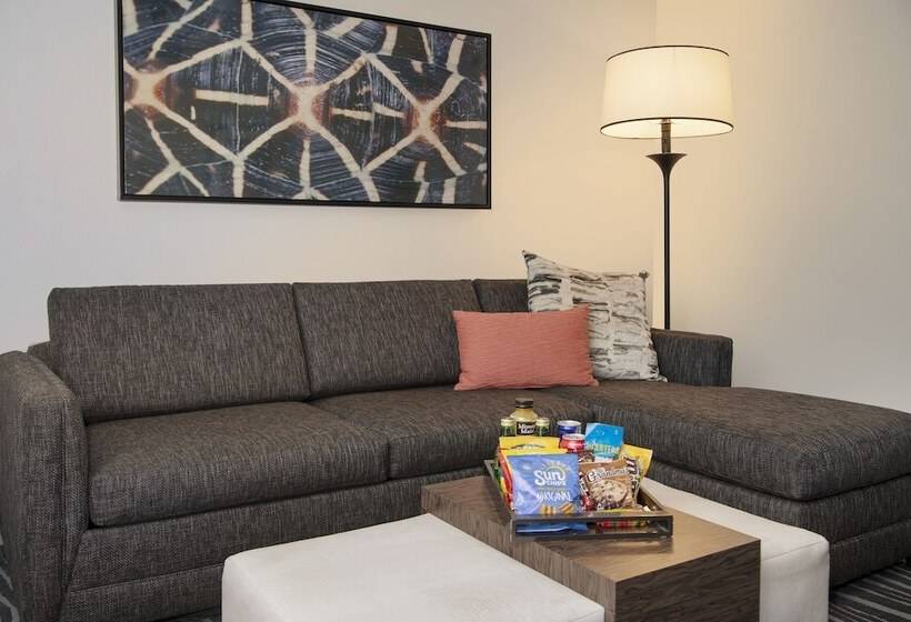 جناح بريميوم, Embassy Suites By Hilton Orlando Airport