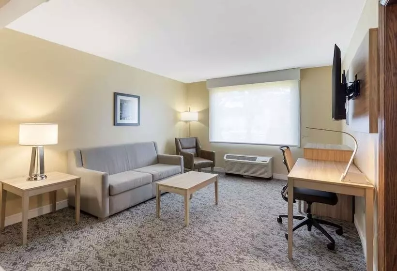 スイート, Best Western Glenview   Chicagoland Inn And Suites